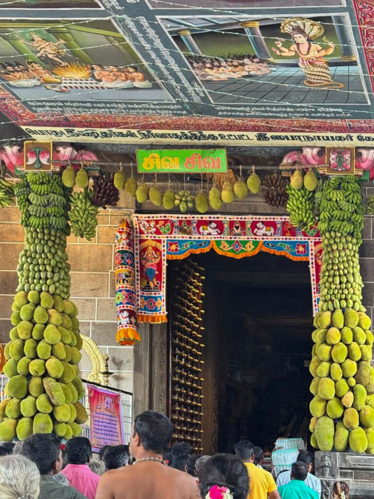 Chidambaram Natraja temple