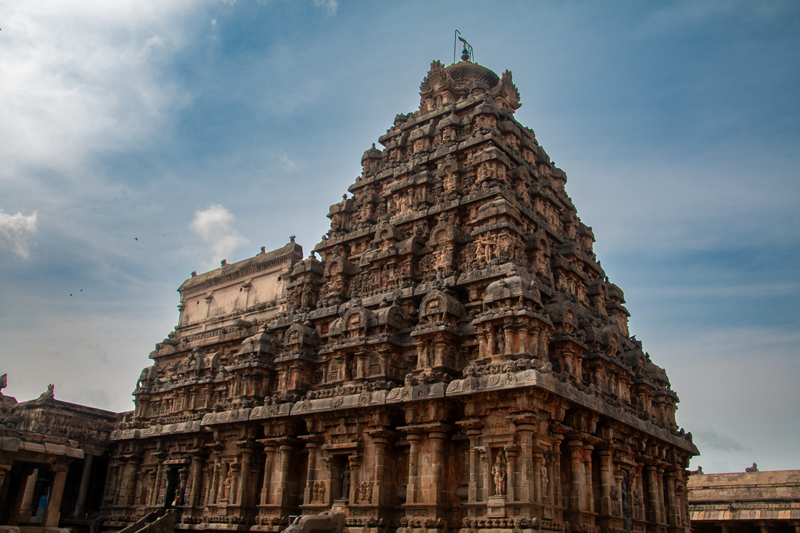 Gangai Komda cholam 8